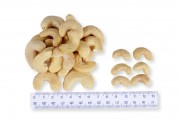 Ochutnej Ořech Kešu ořechy OBŘÍ WW180 natural 250 g