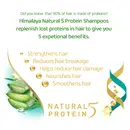 Shampoo-another-benefit-banners-2000px-V1