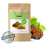 BIO Chaga - prášek 100g