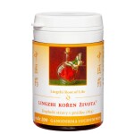 LINGZHI KOŘEN ŽIVOTA TCM Herbs 30 g