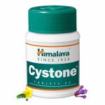 Himalaya Cystone 100 tablet