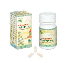 Cordyceps sinensis - Housenice čínská, klenot tradiční čínské medicíny 3+1 zdarma