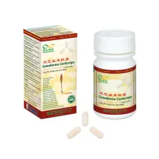 Ganoderma - Cordyceps 3+1 zdarma