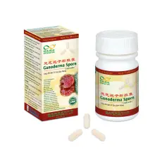ganoderma spory shenzhou