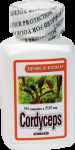 Housenice čínská 90 kapslí (90x 500 mg)