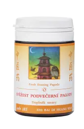 SV̎EST PODVEERN PAGODY (185)