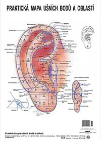 AKUPUNKTURN MAPA UCHA 2 (A3) speciln omyvateln textilie