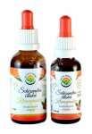 Schizandra - Klanopraška AF tinktura 50ml