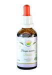 brahmi tinktura salvia paradise 50 ml