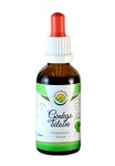 ginkgo_tinktura_50_ml_custom.jpg