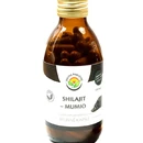 shilajit_kapsle_120_ks_custom.jpg