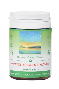 SOUZNN KOUZELN PROMNY TCM Herbs 100 tablet