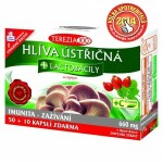 HLÍVA ÚSTŘIČNÁ + lactobacily