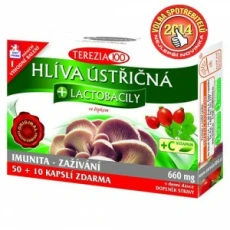 HLÍVA ÚSTŘIČNÁ + lactobacily