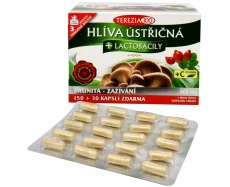 HLVA STIN + lactobacily