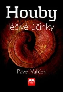 Houby a jejich léčivé účinky