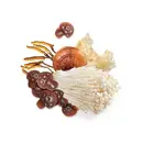 MycoMedica MycoGummies 60 ks
