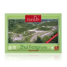 TianDe Kosmetická tělová fytonáplast Zhui Feng Forte 4 ks